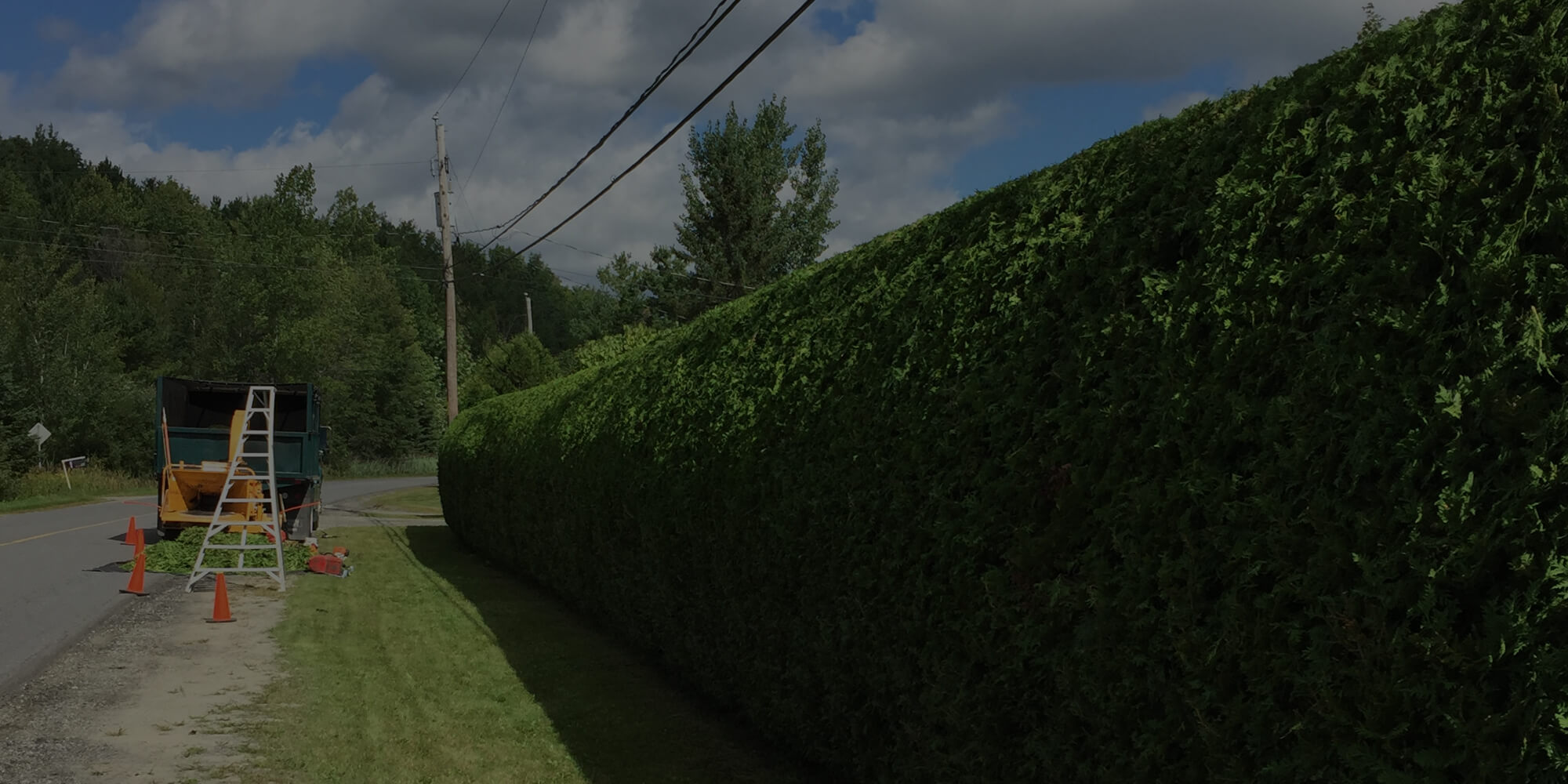 Taille de haies de cèdres VertTige Arboriculture Sherbrooke Taille de haies de cèdres VertTige Arboriculture Sherbrooke