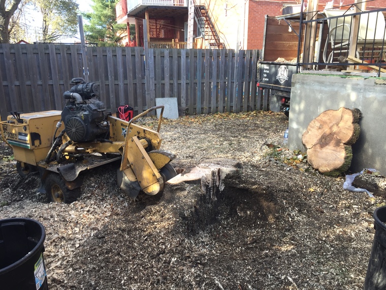 Dessouchage essouchage à Sherbrooke