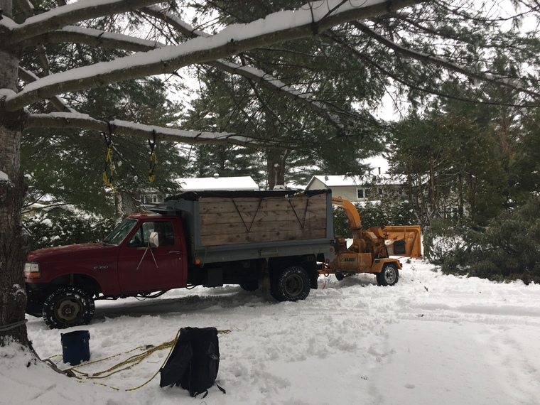 déchiquetage de branche à Sherbrooke