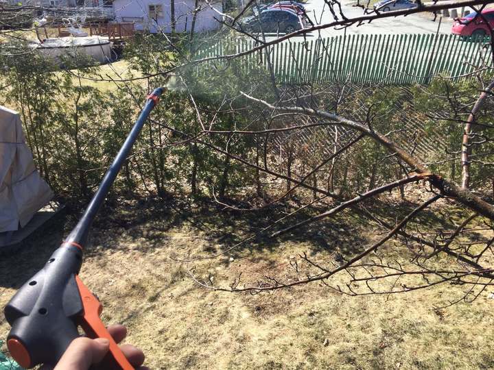 Comment empêcher les tâches sur les pommes