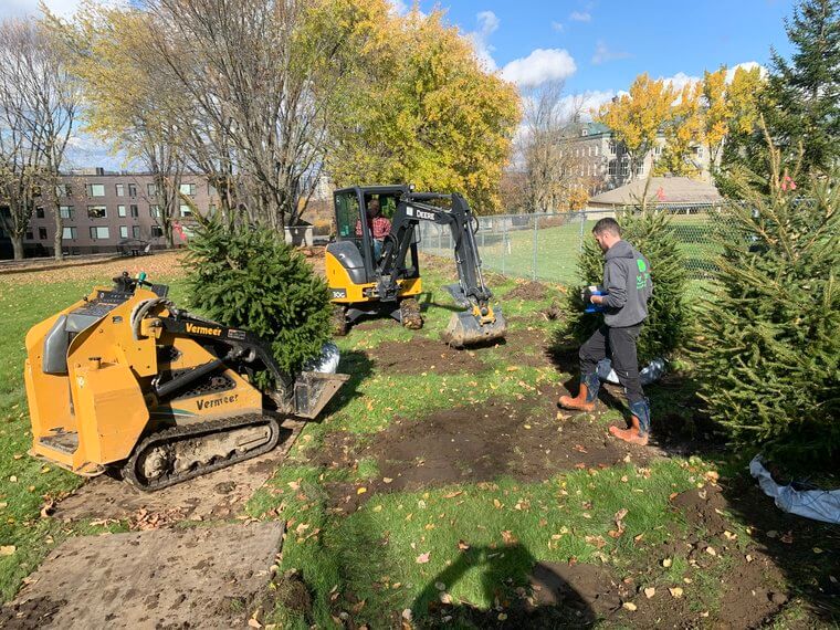 Plantation d'arbres Sherbrooke